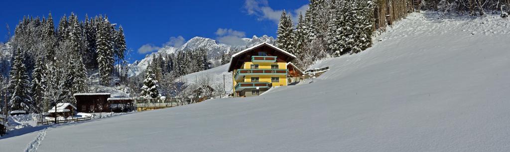 Haus Elisabeth Acomodação com café da manhã Mühlbach am Hochkönig Exterior foto