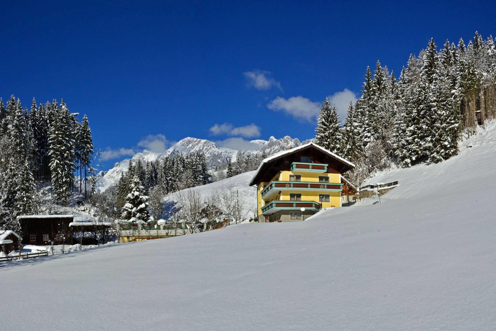 Haus Elisabeth Acomodação com café da manhã Mühlbach am Hochkönig Exterior foto