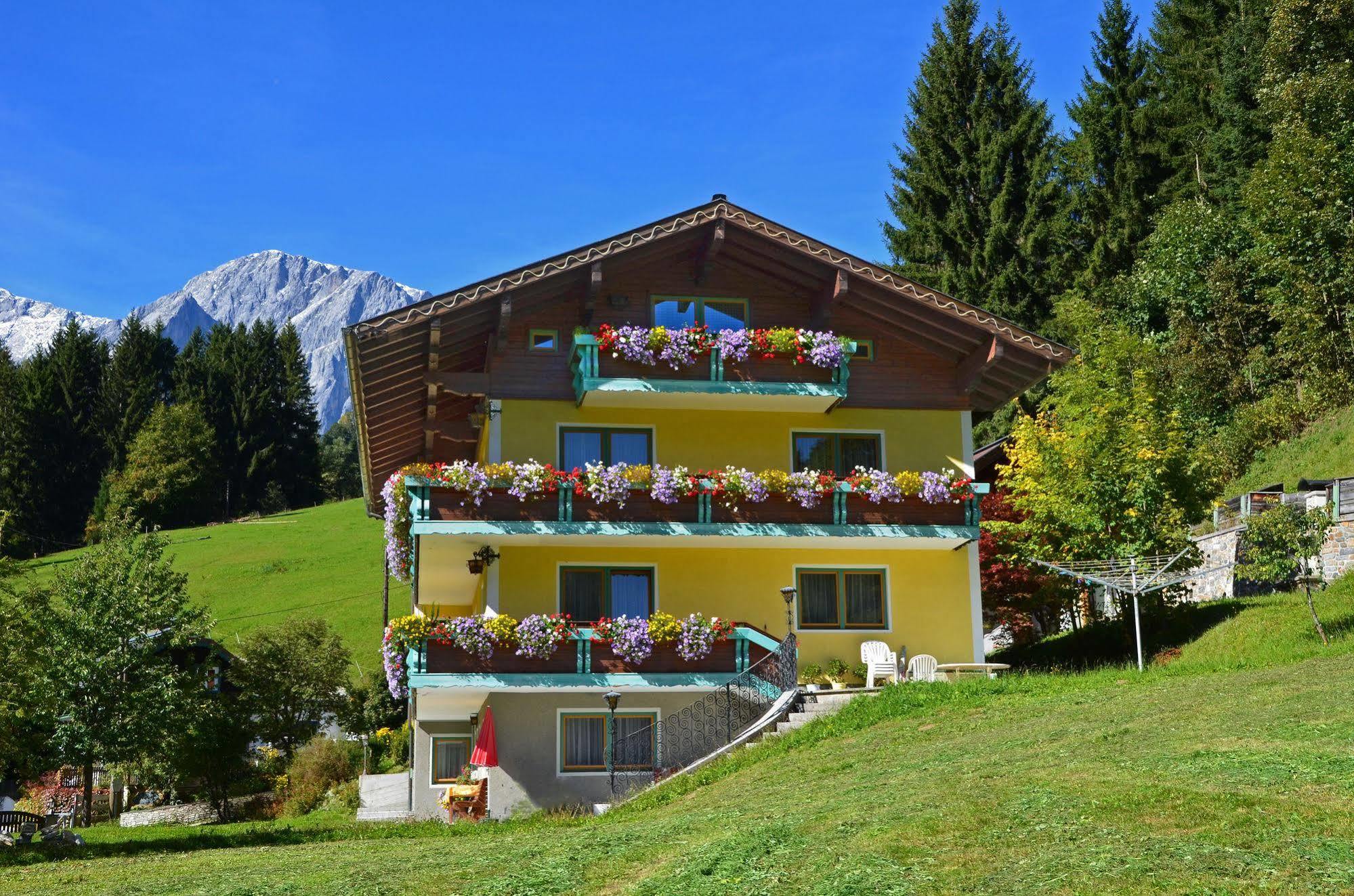 Haus Elisabeth Acomodação com café da manhã Mühlbach am Hochkönig Exterior foto