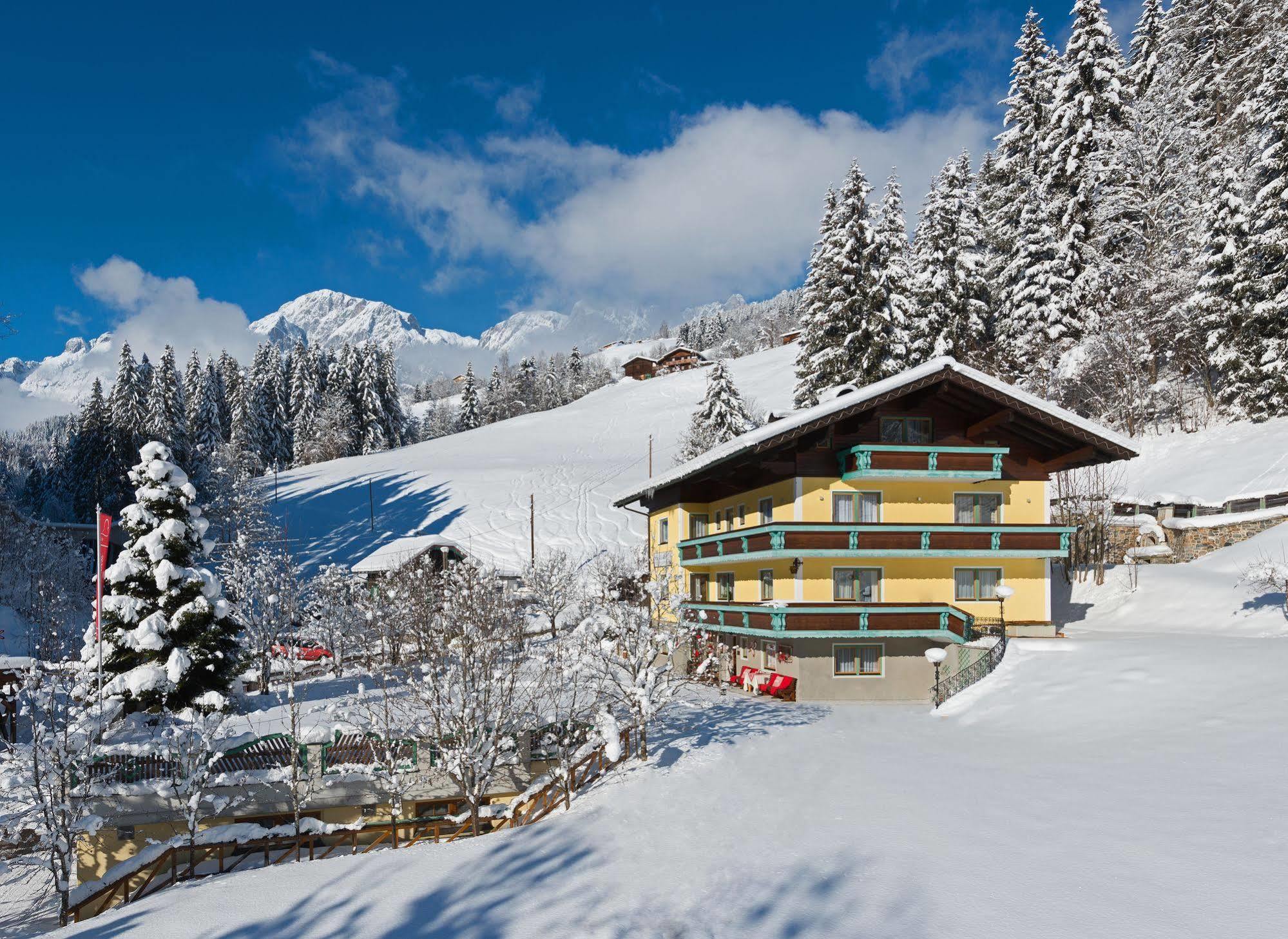 Haus Elisabeth Acomodação com café da manhã Mühlbach am Hochkönig Exterior foto
